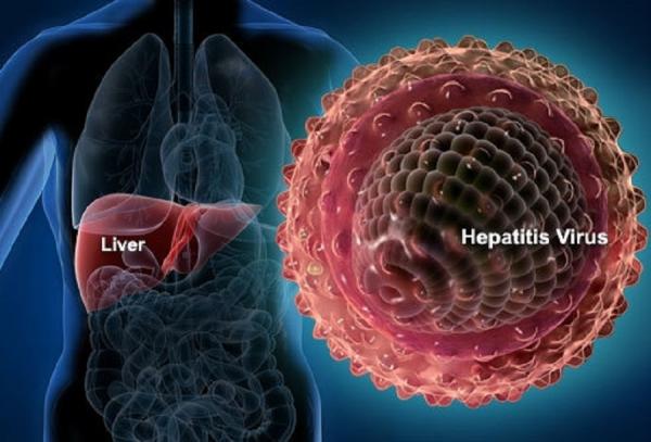 هپاتیت‌های ویروسی B و C,آمار مرگ و میر در افراد مبتلا بین زن و مرد