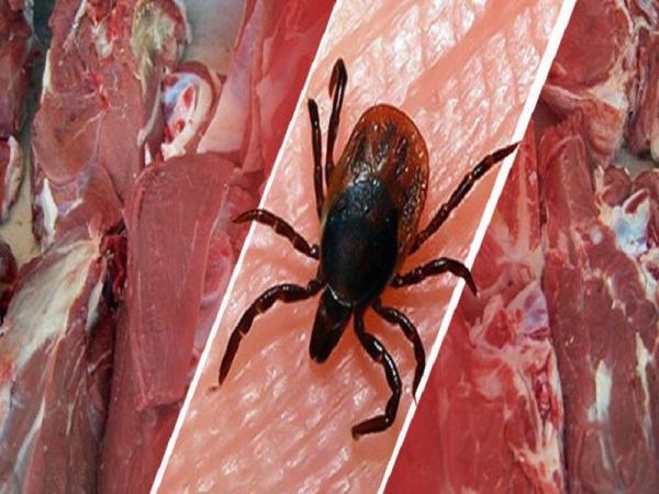 تب کریمه کنگو در ایران,مصرف گوشت و تبر کریمه