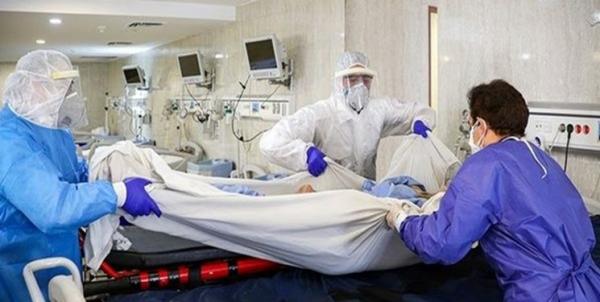 آمار تلفات کرونا آمار تلفات کرونا,کاهشی شدن کرونا