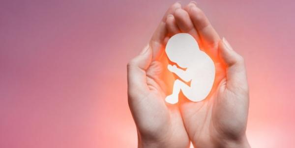 جزئیات دستورالعمل «حفظ و مراقبت از جنین سالم»,مجازات سقط جنین