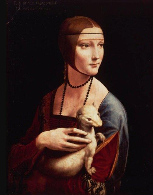 پرتره شناخته شده لئوناردو داوینچی از زنان, بانویی با قاقم