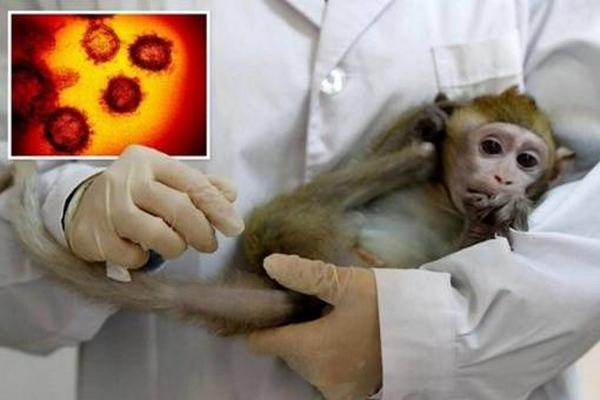 آبله میمونی,عدم توصیه سازمان بهداشت جهانی برای واکسیناسیون جمعی برای مقابله با آبله میمونی