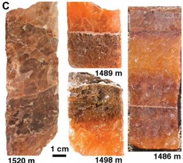 بلور سنگ نمک,شکستن و گشودن یک بلور سنگ نمک ۸۳۰ میلیون ساله حاوی حیات باستانی