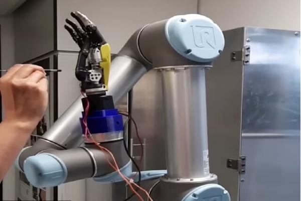 ربات,ابداع ربات با توانایی احساس درد