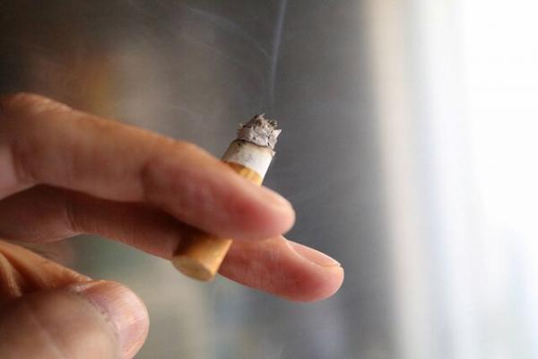 سیگار,مرگ ومیر به دلیل مصرف سیگار