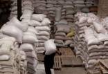 حذف برنج ایرانی از سبد غذایی مردم,قیمت برنج ایرانی