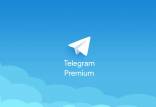 تلگرام پولی,ویژگی های Telegram Premium