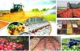 خرید توافقی محصولات کشاورزی,جزئیات خرید توافقی محصولات کشاورزی