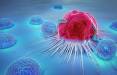 سرطان,نقش ژنتیک در سرطان
