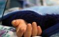 قتل دختر 3 ساله,قتل در مشهد