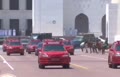 فیلم/ استقبال خودرویی عمانی‌ها از رئیسی