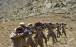 درگیری میان طالبان و جبهه مقاومت در پریان پنجشیر,درگیری طالبان در پنجشیر