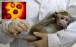 آبله میمونی,عدم توصیه سازمان بهداشت جهانی برای واکسیناسیون جمعی برای مقابله با آبله میمونی