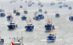 مقابله با ماهیگیری‌های غیرقانونی چین,صید ترال