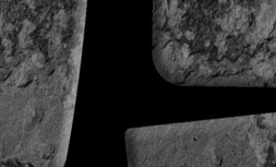 فیلم/ ناگفته‌های راننده حمل پیکرهای متروپل