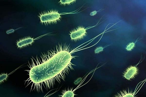 گسترش شیوع بیماری وبا در منطقه,وبا در ایران