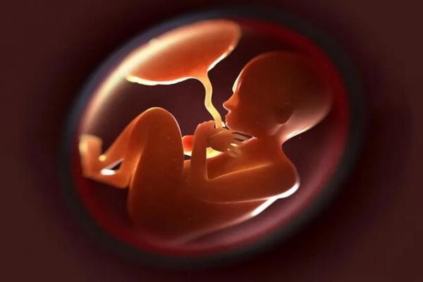 سقط جنین,پیش‌بینی سقط جنین با تجزیه و تحلیل ژنوم