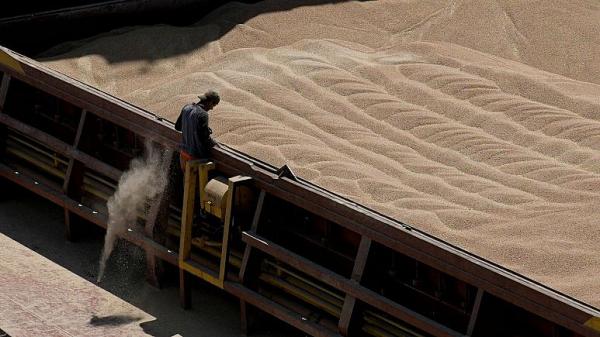 گندم,خرید گندم توسط ایران از اوکراین