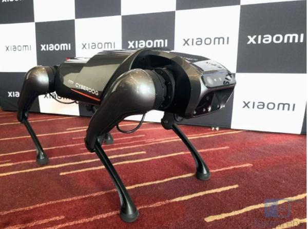ربات CyberDog,رونمایی از ربات CyberDog شیائومی در هند