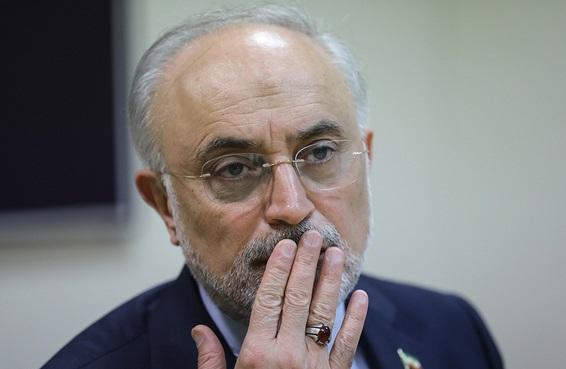 علی‌اکبر صالحی,رییس پیشین سازمان انرژی اتمی