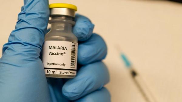 واکسن مالاریا,دلیل از بین رفتن اثر واکسن مالاریا