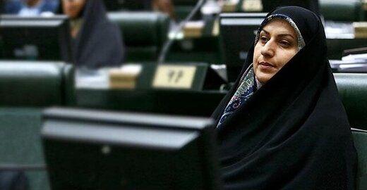 سمیه محمودی, طرح عفاف وحجاب