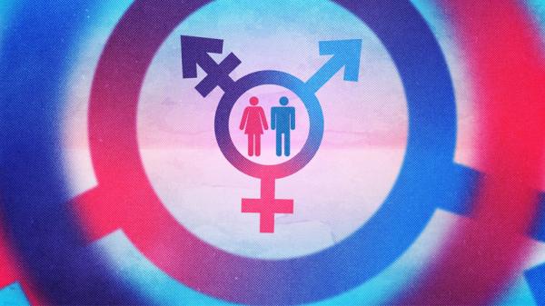 تغییر جنسیت در ایران,همجنسگرایان