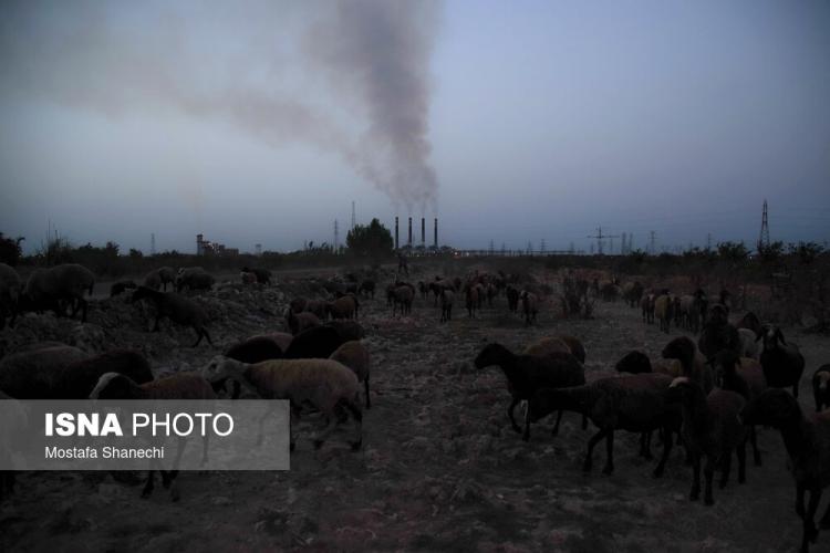 تصاویری از مازوت سوزی در ایران,عکس های سوختن مازوت در ایران,تصاویری از آلودگی هوا بر اثر سوزاندن مازوت