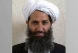 رهبر طالبان,طالبان
