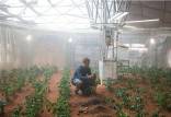 کشاورزی در مریخ,مریخ