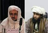 طرح محدودیت‌ سفر سران طالبان,محدودیتهای طالبان