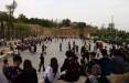 تجمع دهه نودی ها در شیراز,واکنش ها به تجمع دختران نوجوان در شیراز