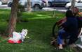ممنوعیت ورود سگ به پارک,محدودیت ها در ایران
