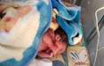 نوزاد رها شده در یکی از معابر شهر زاهدان,نوزاد رها شده زاهدان