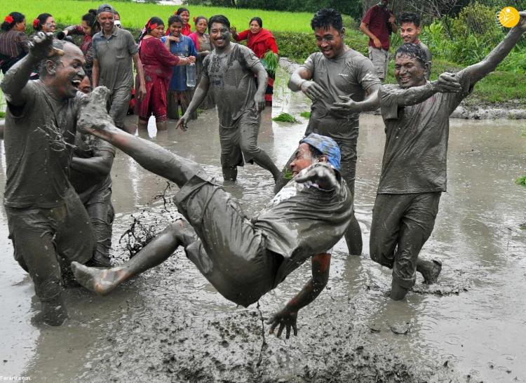 تصاویر جشن شالیکاران نپالی,عکس هایی از جشن شالیکاران نپالی همزمان با فصل کشت برنج,تصاویر برداشت برنج در نپال