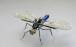 حشرات رباتیک,ابداع حشرات رباتیک با ردیابی سریع