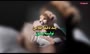 فرزند ایران خانم در آستانه سه ماهگی اینگونه گوشت می‌خورد +فیلم