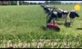 فیلم/ ربات خورشیدی برای تعیین مسیر چرای گاوها