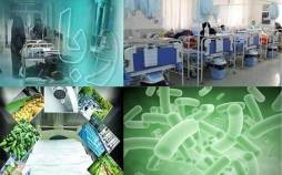 ابتلا به وبا در ایران,مرگ و میر وبا در ایران