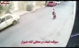 فیلم/ کیف قاپی وحشیانه از یک زن بی‌دفاع در روز روشن!
