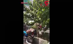 فیلم/ خودکشی ناکام زن جوان در تهران