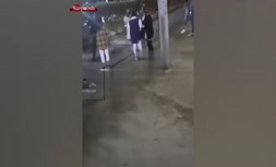 فیلم/ قمه‌کشی دختران نوجوان در پارک بوشهر
