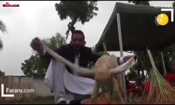 سلبریتی مشهور پاکستان یک بزغاله است! +فیلم