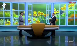 فیلم/ دفترخانه‌های ازدواج از بیکاری تعطیل می‌شوند؛ ماهی دو دفتر