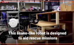 فیلم/ رباتی با ویژگی خارق‌العاده: حرکت مثل مار و پیدا کردن افراد زنده