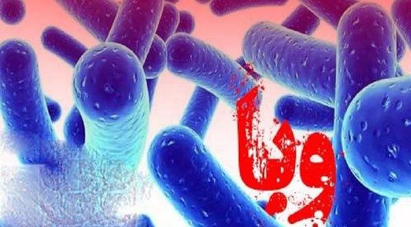 تبعه بیگانه افغان مبتلا به بیماری وبا,شناسایی وبا در جنوب کرمان