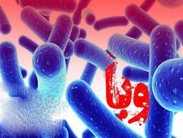 وبا در کشور,تعداد مبتلایان به وبا در کشور