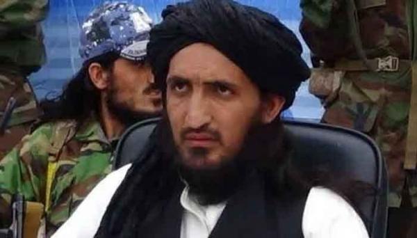 کشته شدن سرکردگان طالبان پاکستان,اخبار طالبان پاکستان