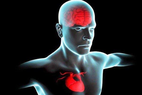 زوال عقل,افزایش خطر زوال عقل در صورت وجود ناهنجاری دهلیز فوقانی قلب