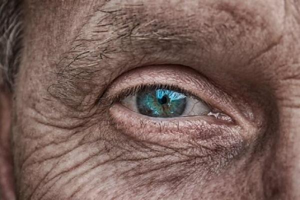 آلزایمر,پیش‌بینی احتمال ابتلا به آلزایمر با بررسی تغییرات شبکیه